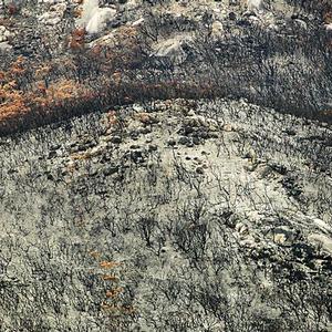 After the Fire by John Banikos